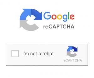 An image showing the Google reCaptcha website tool