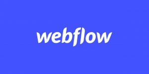 The webflow logo