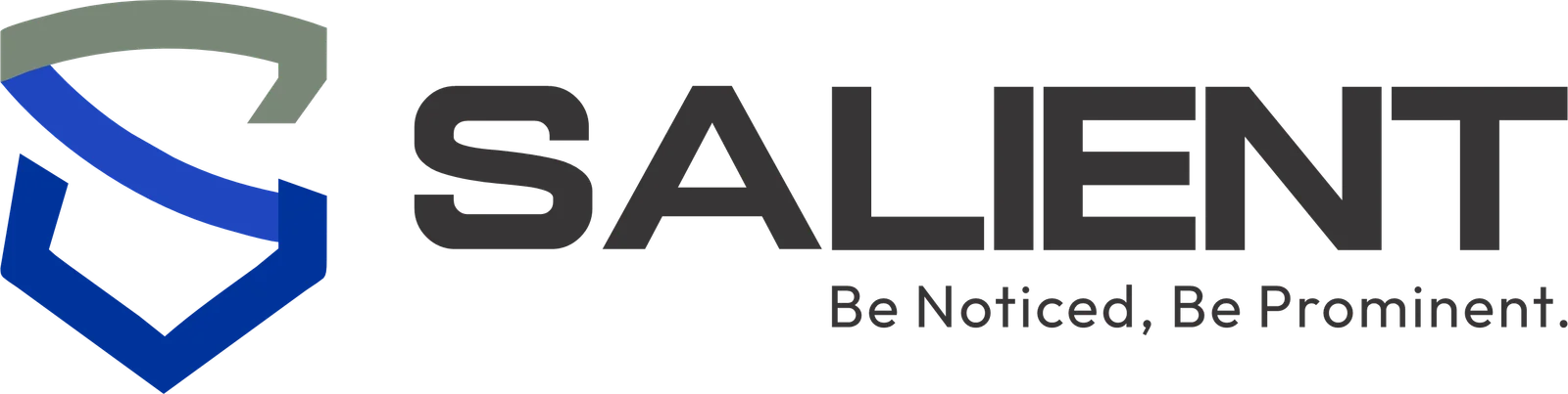 salient-2-logo